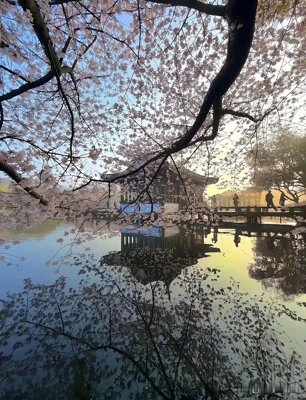 人这一辈子，这三件事一定要低调越聪明的人，越懂得藏拙；越有福气的人，越不会张扬