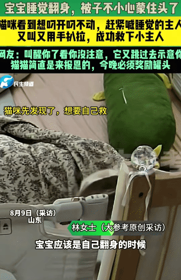 “太有灵性了！”山东，宝宝翻身，被子不小心蒙住头。没想到，家里猫咪看到想把被子叼