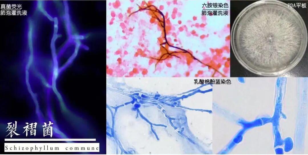 “真是让人想象不到！”浙江宁波，周先生和妻子怎么也想不到，天天住的家里竟然藏着一