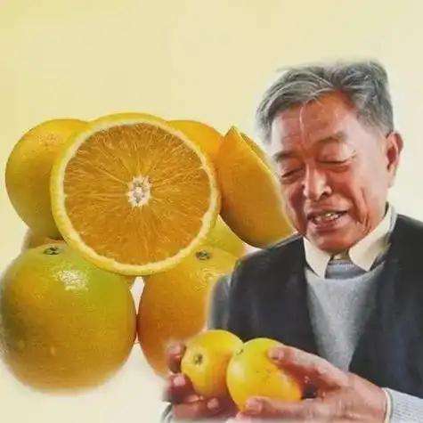 褚时健去世7年后，褚橙怎么样了？2019年3月5日，91岁的褚时健去世