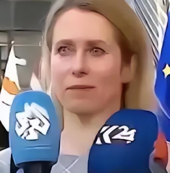 震惊全球！欧盟下狠手，彻底封杀中国科研机构，935亿欧元计划拒华门外一则欧盟