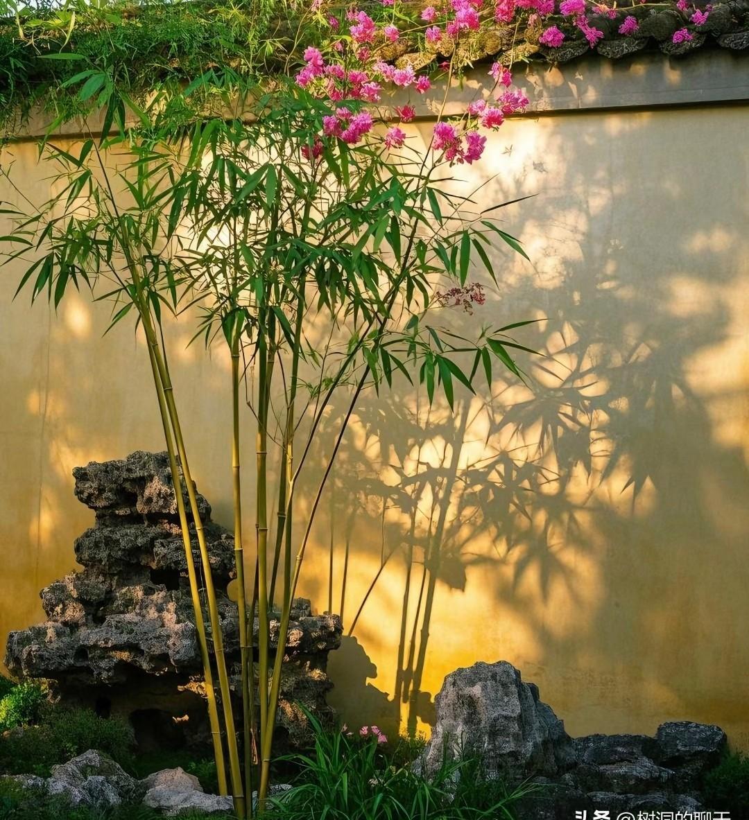 钱不是吵架的根，但没钱真能把日子过成修罗场。夫妻俩各忙各的，连饭都懒得一起吃，