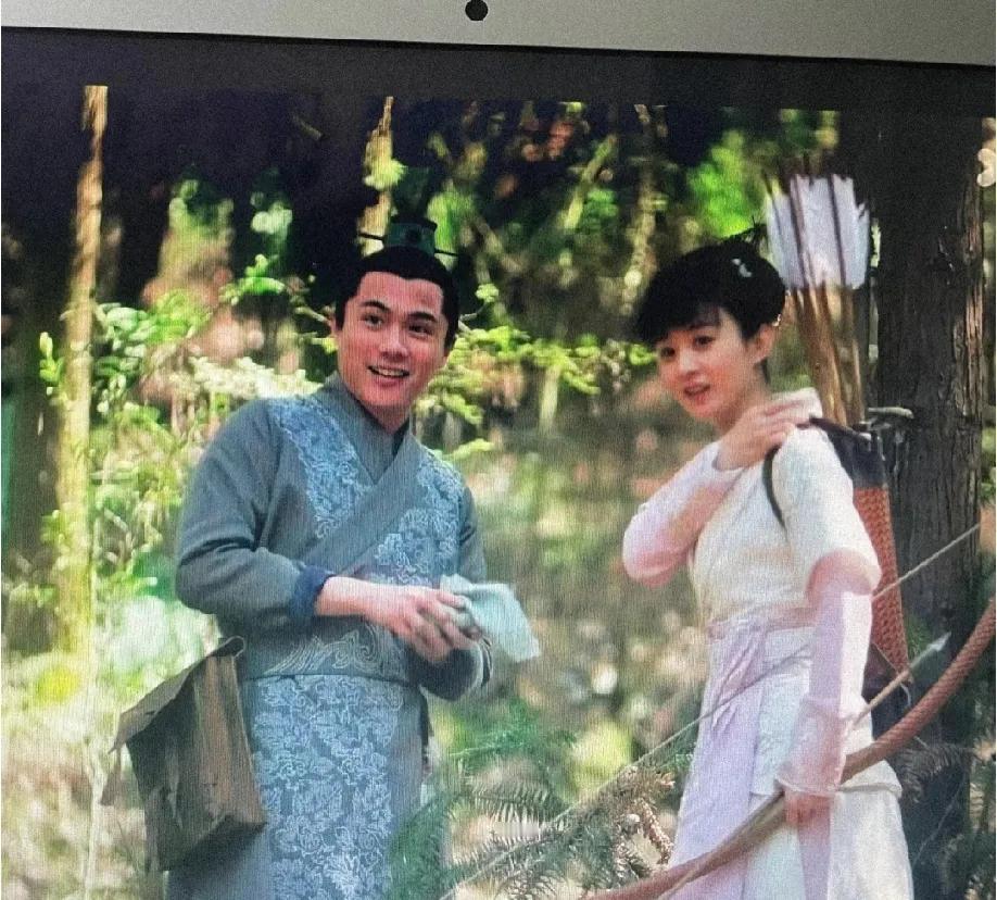 刷到有人说“当初明兰嫁给弘文哥哥多好”，还列了一堆好处：医学生业务能力佳，人品端