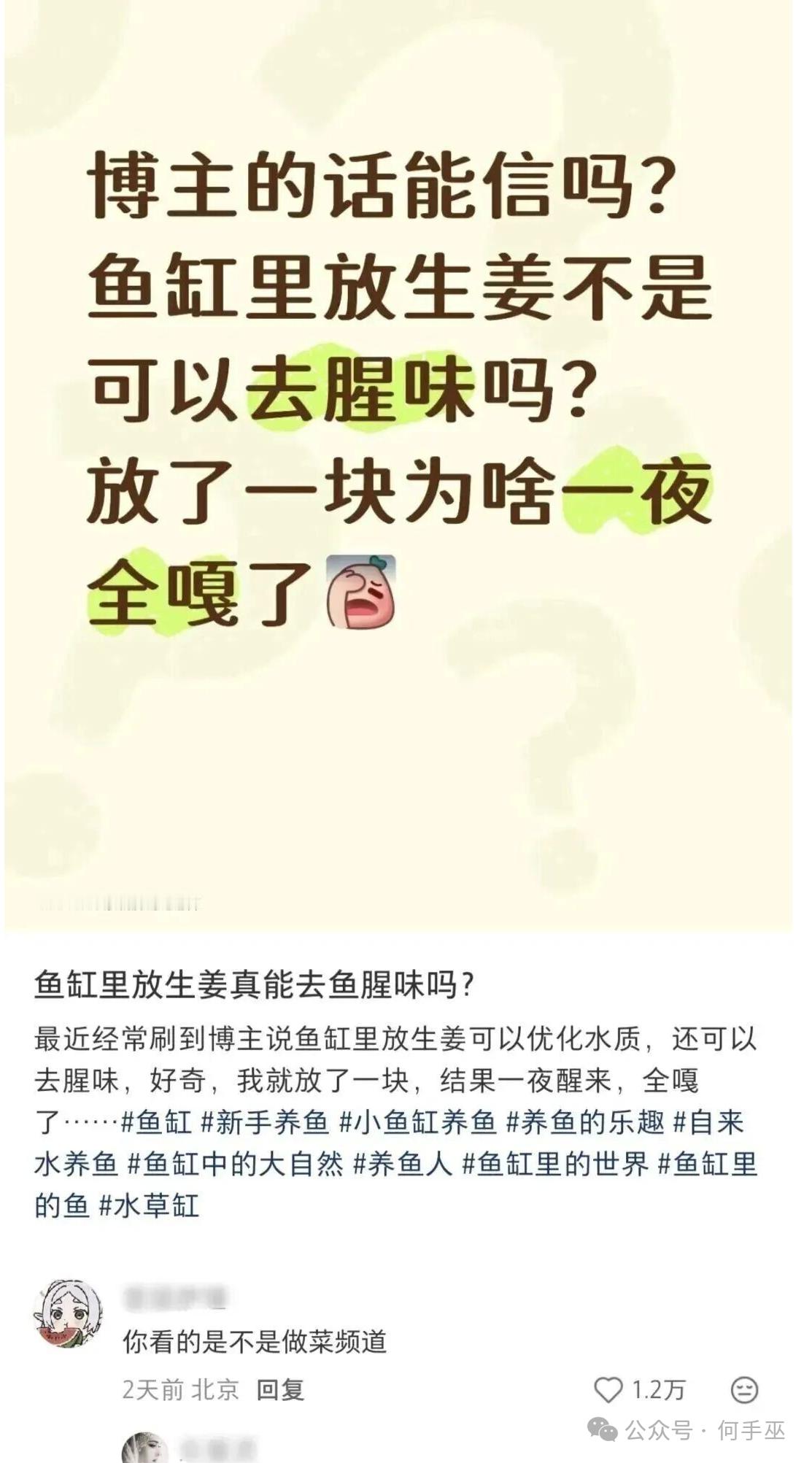 也可以反思一下自己是不是把鱼汤打成了鱼缸