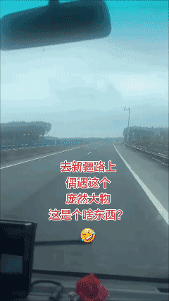 好大的家伙！这是个啥么？😳