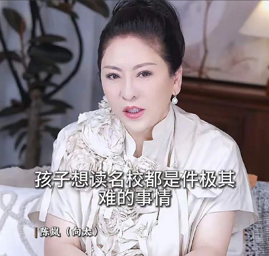 向太曾在分享中提到，不管你有钱没钱，想让孩子进名校都绝非易事——就连她为向佐