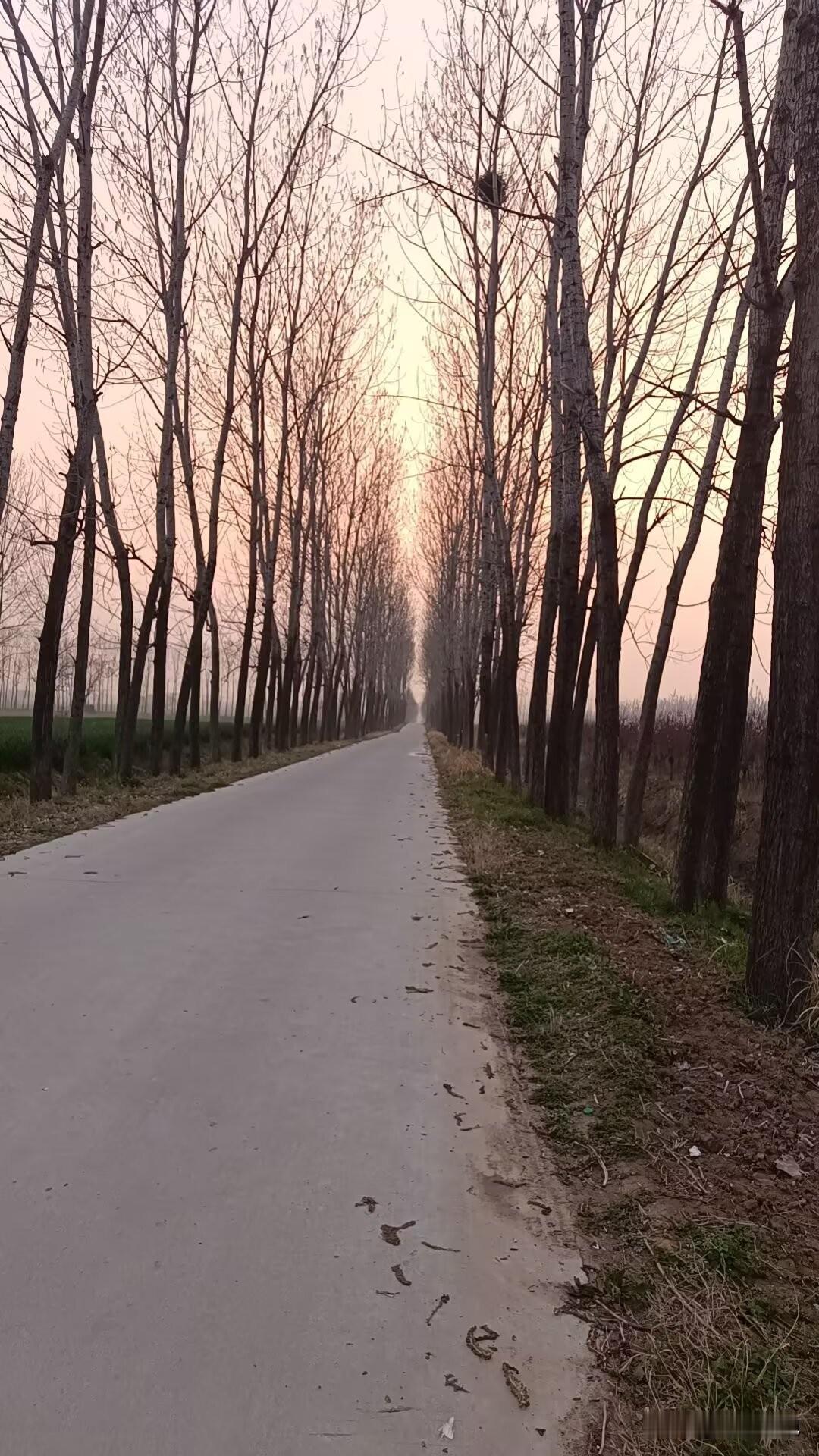 我的一个远房亲戚发病几年家里人带他跑了各地医院，做了各种套餐疗程。今年正月还是走