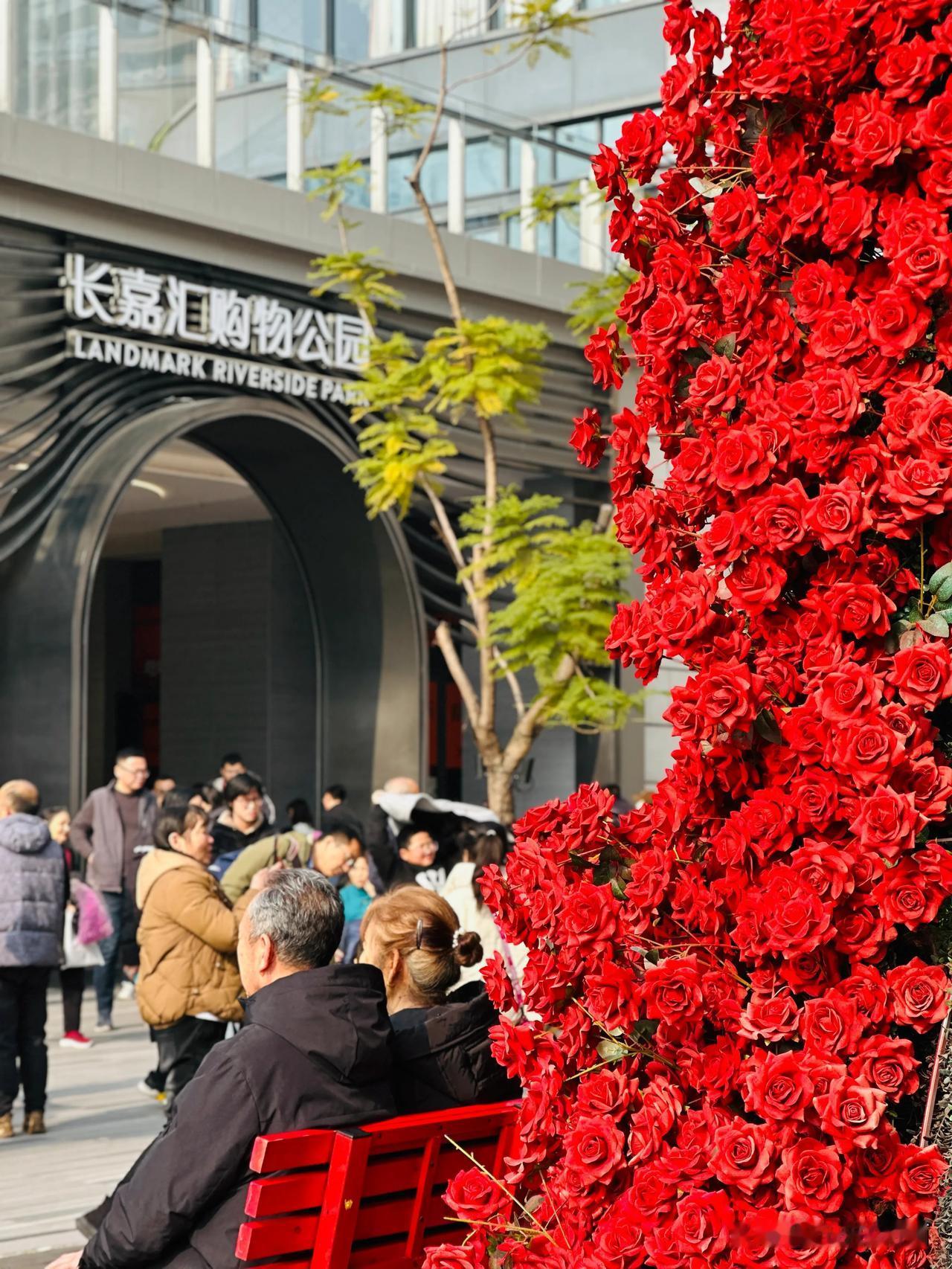 今年央视春晚·重庆分会场周边景色，我今天帮你们巡视一遍了。冬日暖阳下的重庆南滨路