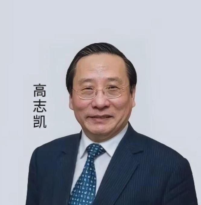 高志凯教授又在国际上杀疯了，日内瓦国际辩论赛上，美媒记者发表中国危险论！高志凯三