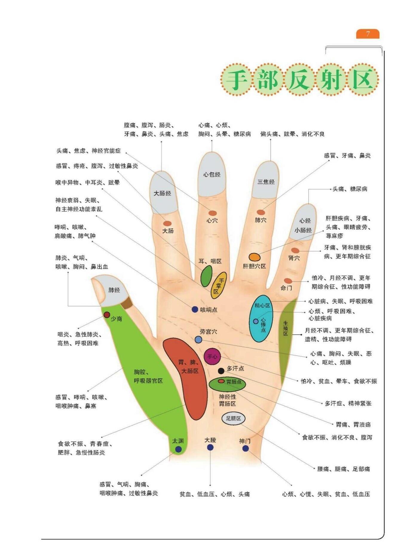 手部全息图解，手部反射区手部按摩手部抗衰健康养生​​​
