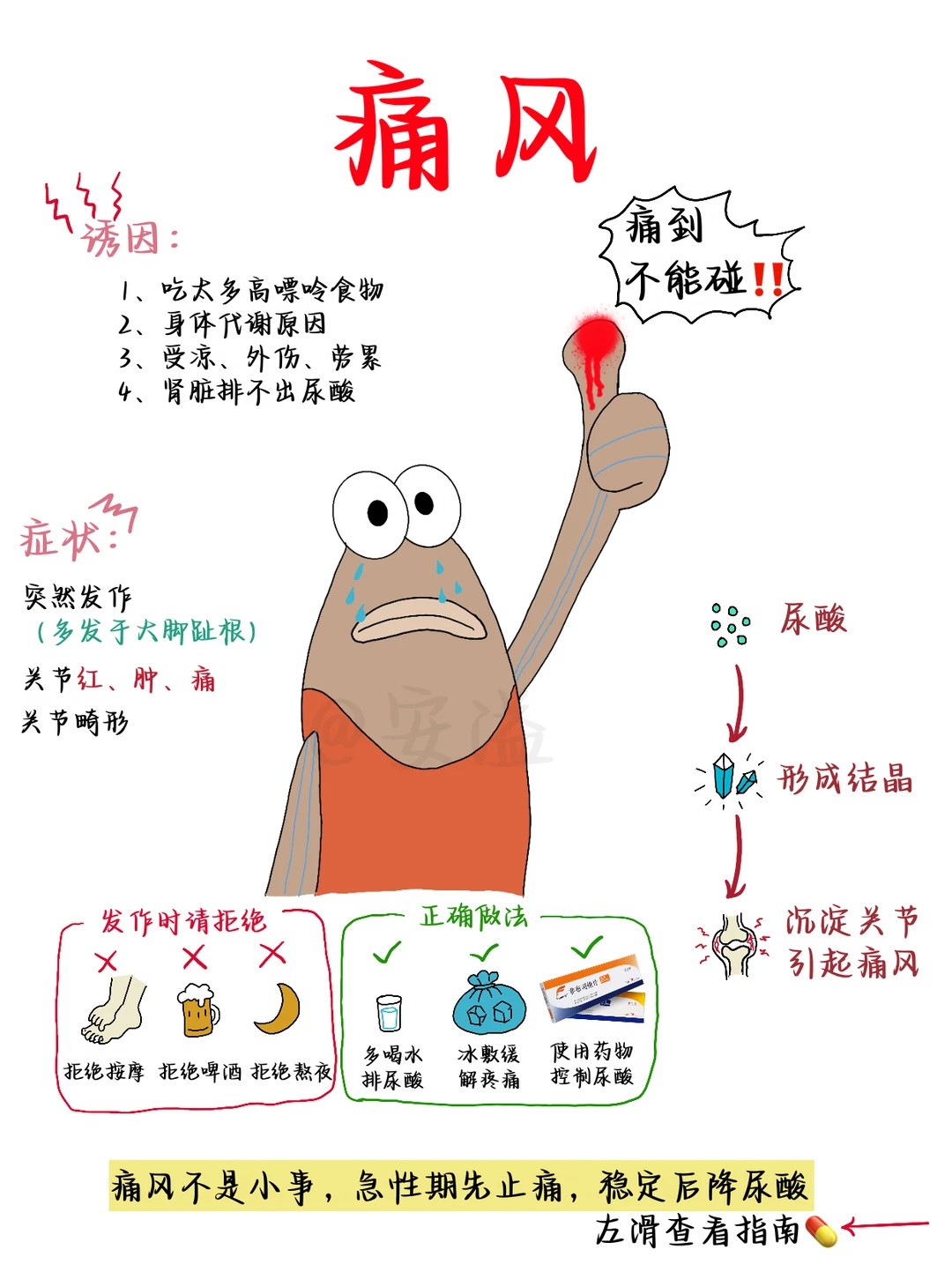 痛风总反复？看看指南怎么说📖