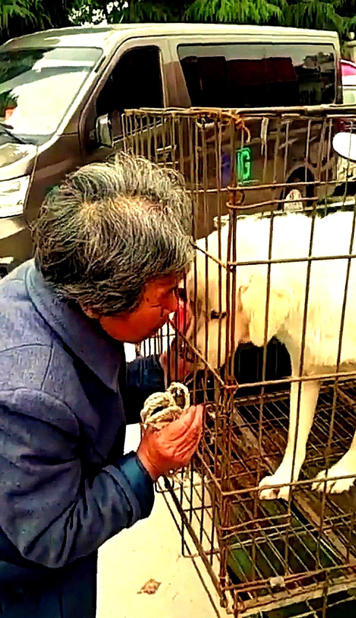 老奶奶因为生活上的困难，把自家狗狗“毛毛”拉到了狗市上卖给了狗贩子，奶奶的穿着也