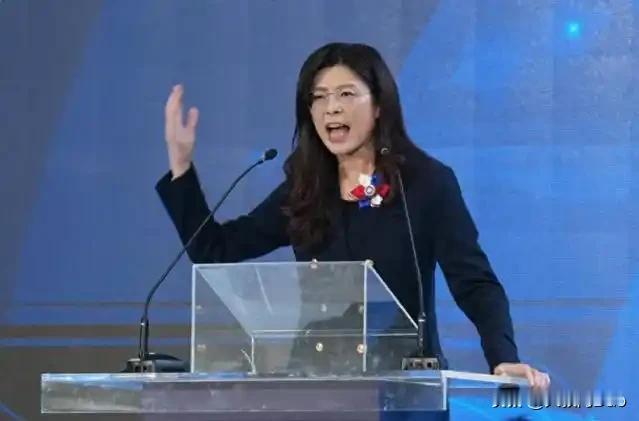 拒绝美在台协会约谈，郑丽文亮出两岸和平底牌！最近，台岛政坛炸了锅！新任国民
