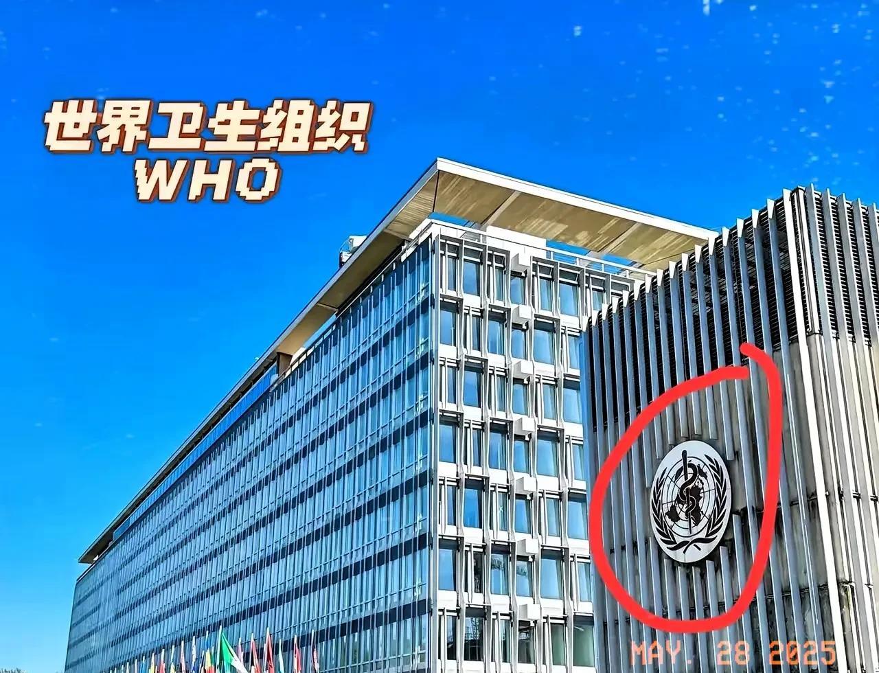 美国选择退出，东方大国挺身而出！5月20日，东方大国在世卫大会上宣布，未来五年