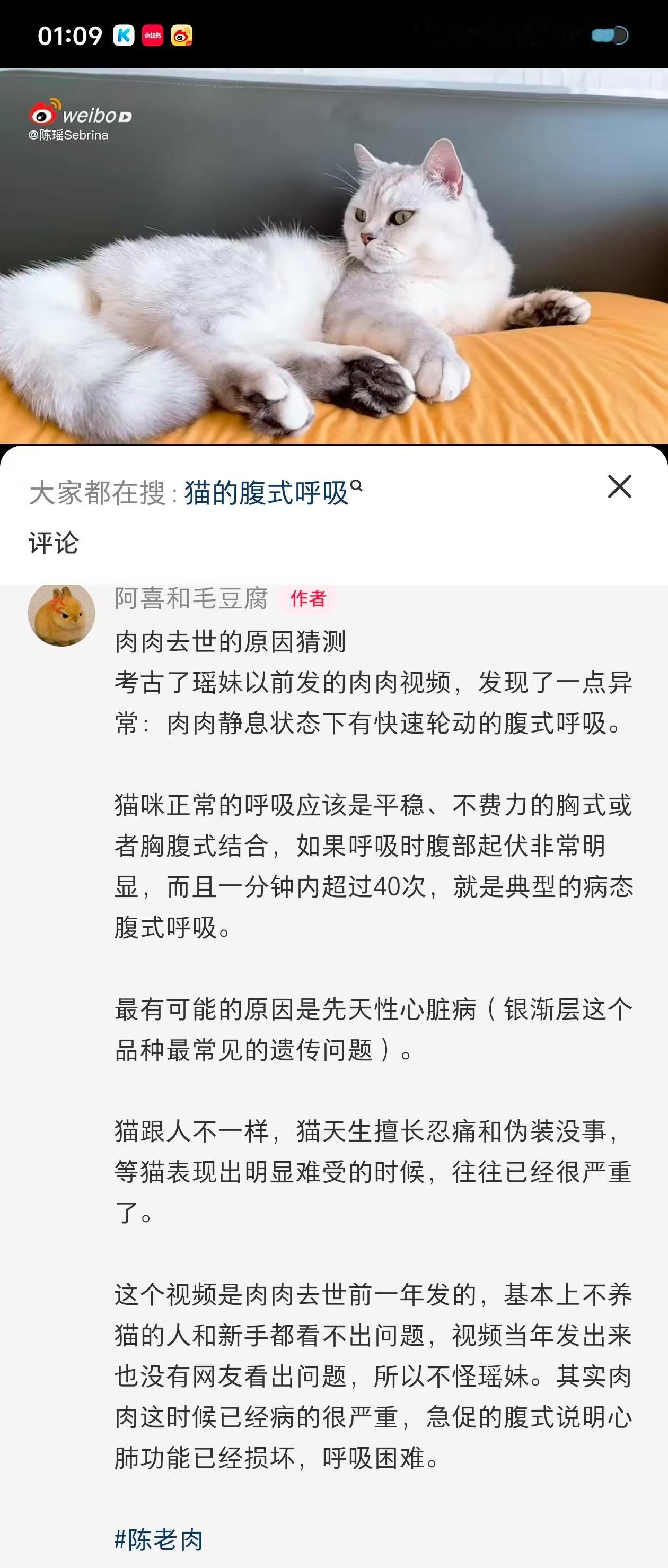 这个说的挺有道理的陈瑶李意迟🩷陈瑶我家那闺女​​​