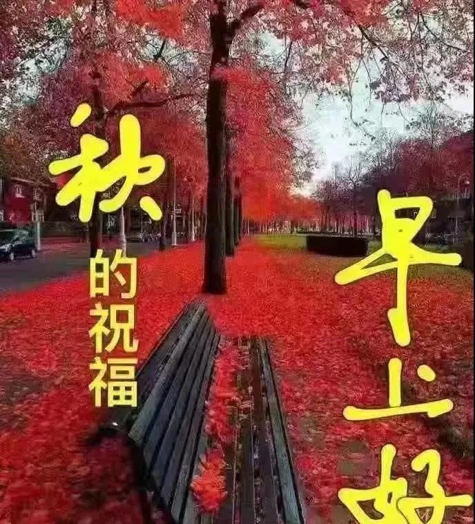 晨光刚漫过窗沿，第一声早安就想递过来——是“新天别赶急，喝口热粥再动身”的软语，