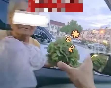 7月23日，江苏无锡一男子停车遭遇强买强卖，被一大妈从车窗硬塞进高价蔬菜，一把蔬