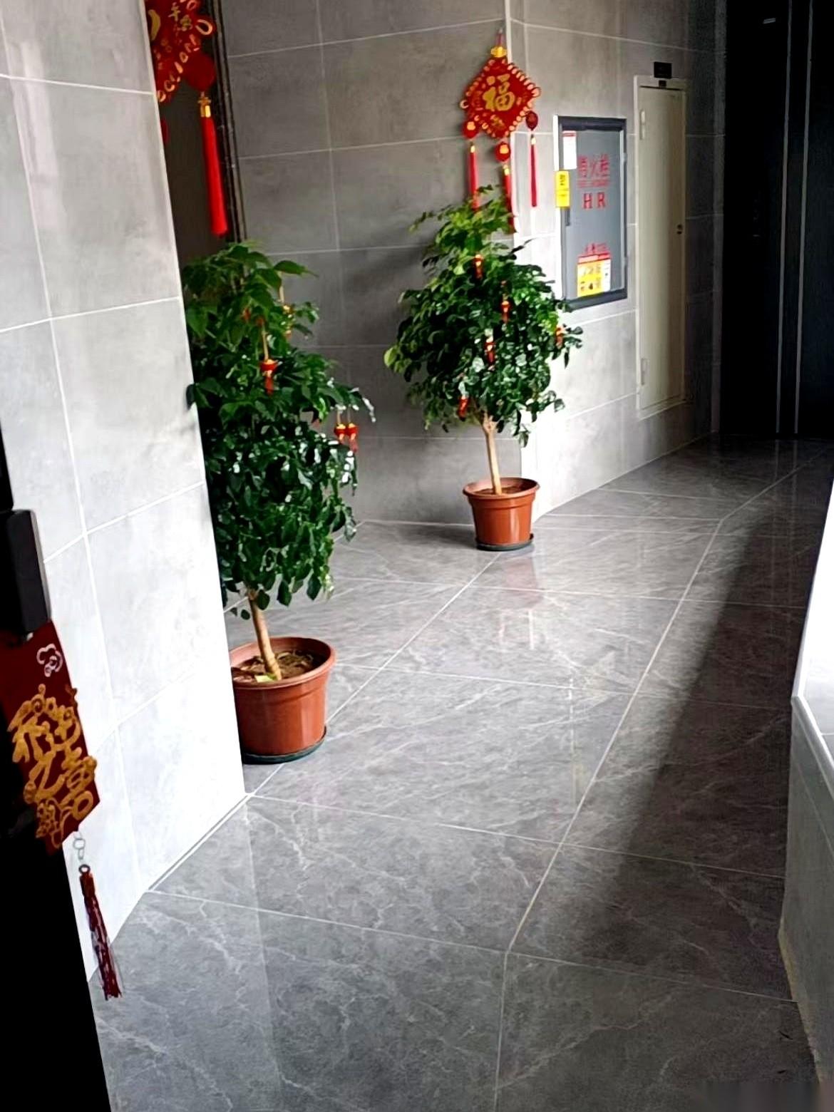 那个两百多块的榴莲，就这么大喇喇地堵在我家门口。这哪是送礼？这明明是买断我整个