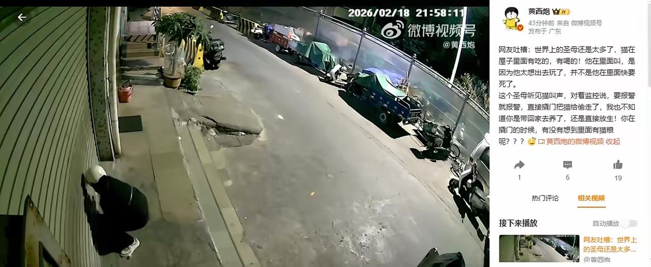 以爱猫之名行盗窃之事，圣母的这场爱心表演太离谱！近日，一位广东网友给大家讲述