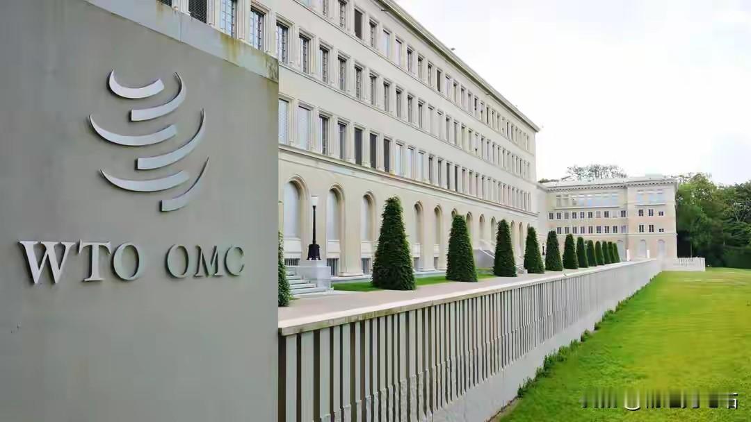 24小时两大裁决！WTO胜诉却难执行，中企港口遭强夺，霸权正在撕碎规则24