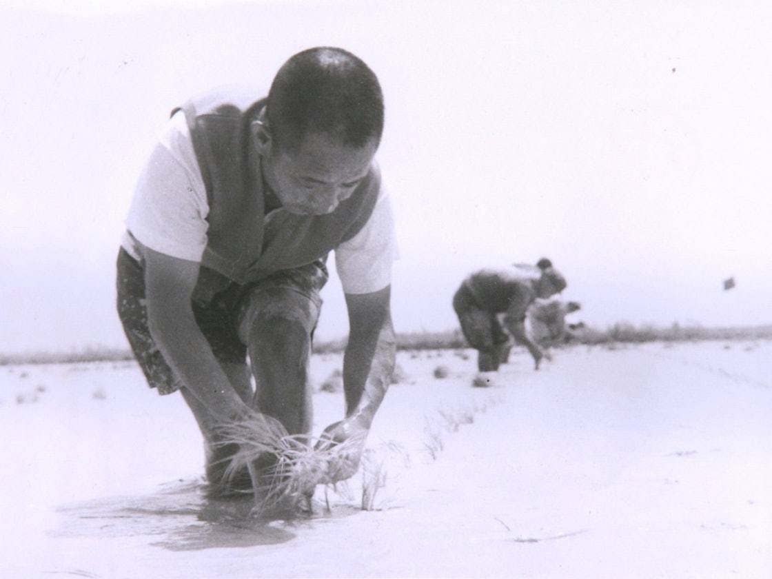 1969年4月至1972年，胡耀邦被下放到河南信阳潢川县黄湖农场五七干校接受劳动