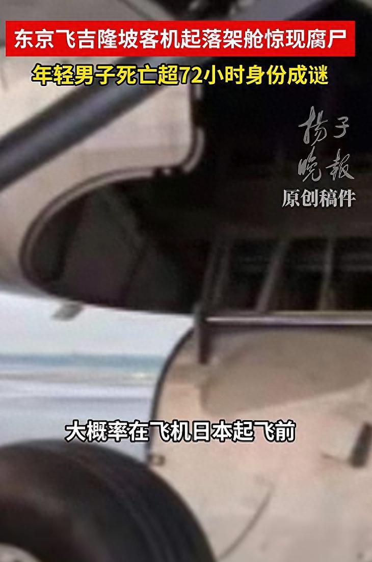 简直毛骨悚然！万米高空隐秘悲剧，起落架舱藏遗体，航班数百乘客全程毫无察觉。8