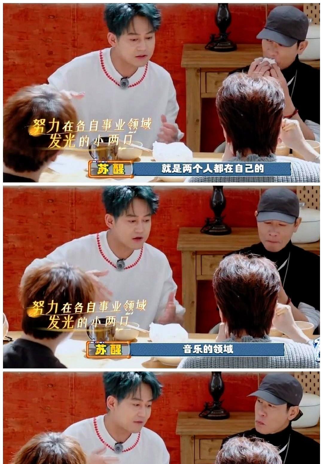 饭局上最震耳的，往往是突然的沉默。张远问陆虎：“怎么还不要孩子？”空气安静