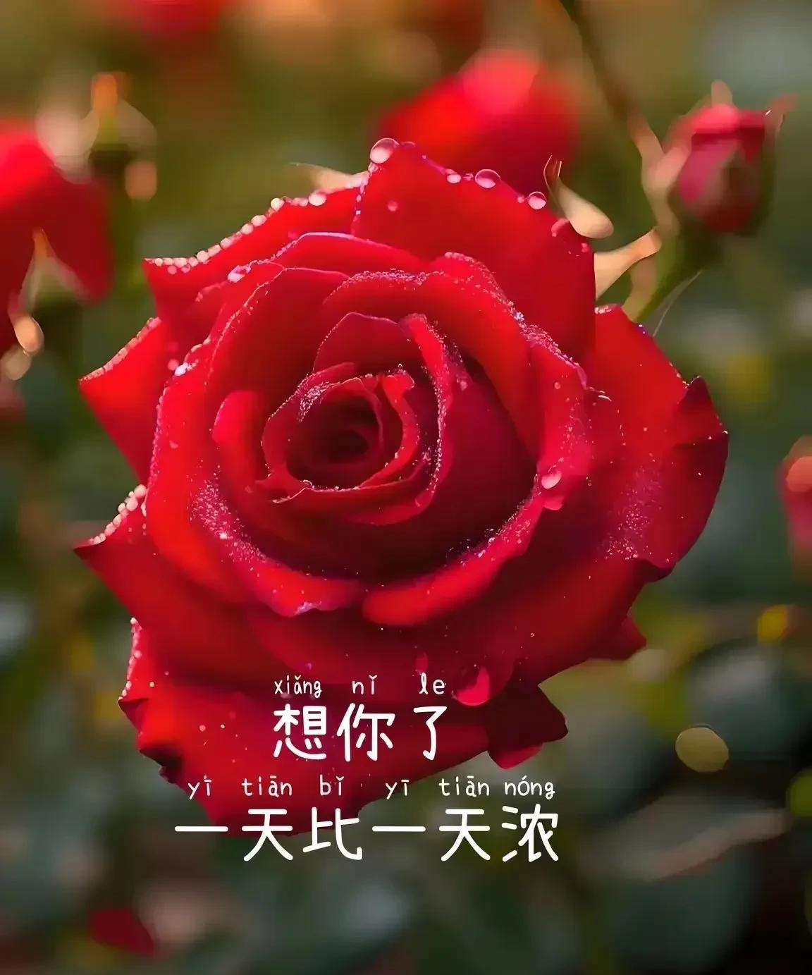 你起床了吗？好久不见，想你了。也没什么大事，只是心中，总有个位置为你空