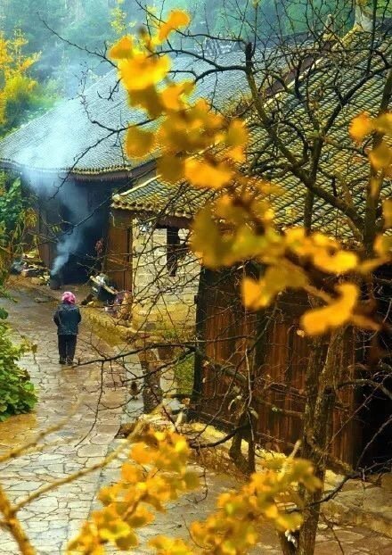 深秋的贵州·加榜梯田，美到人的心坎儿里！​​​​