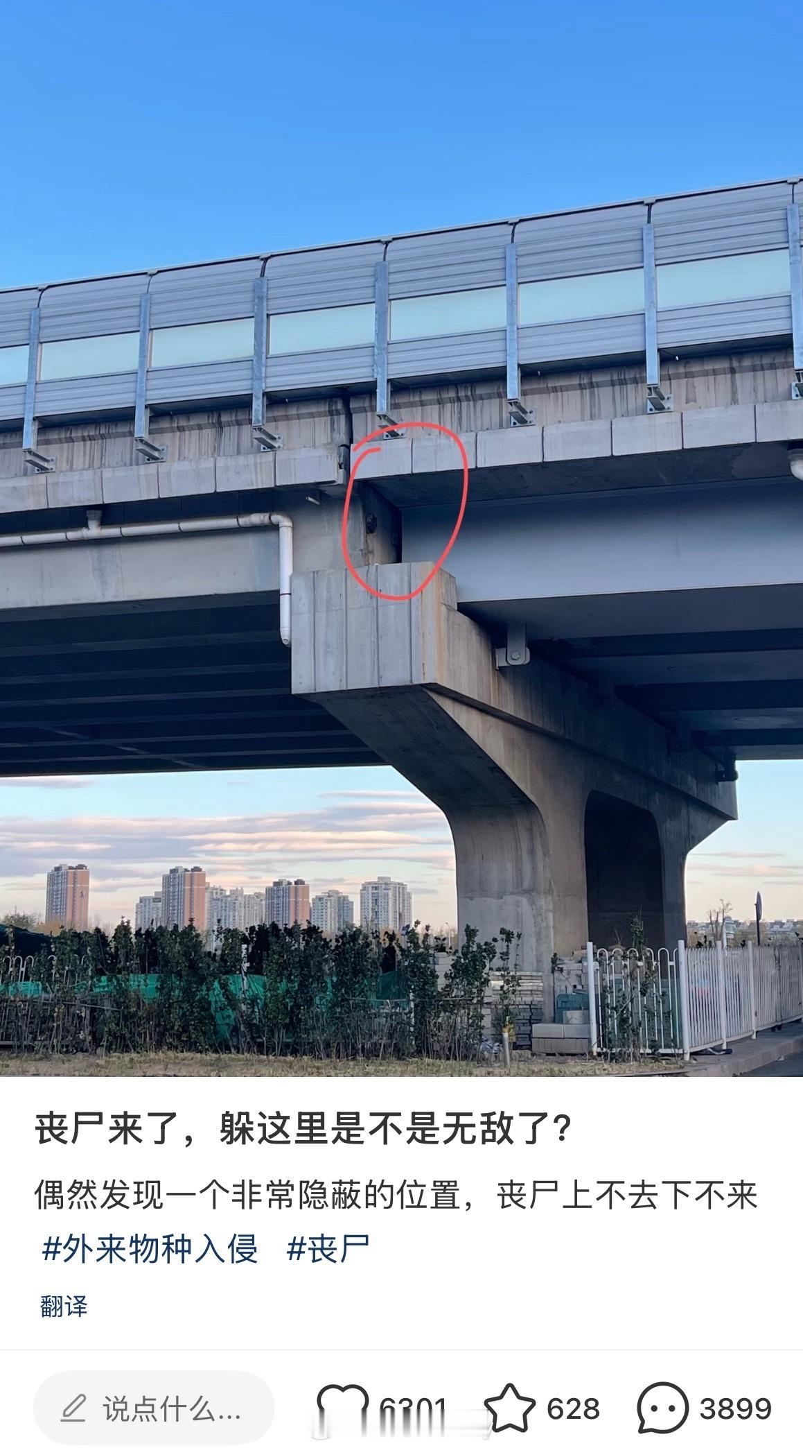 我有的时候真的会被网友妙语笑死