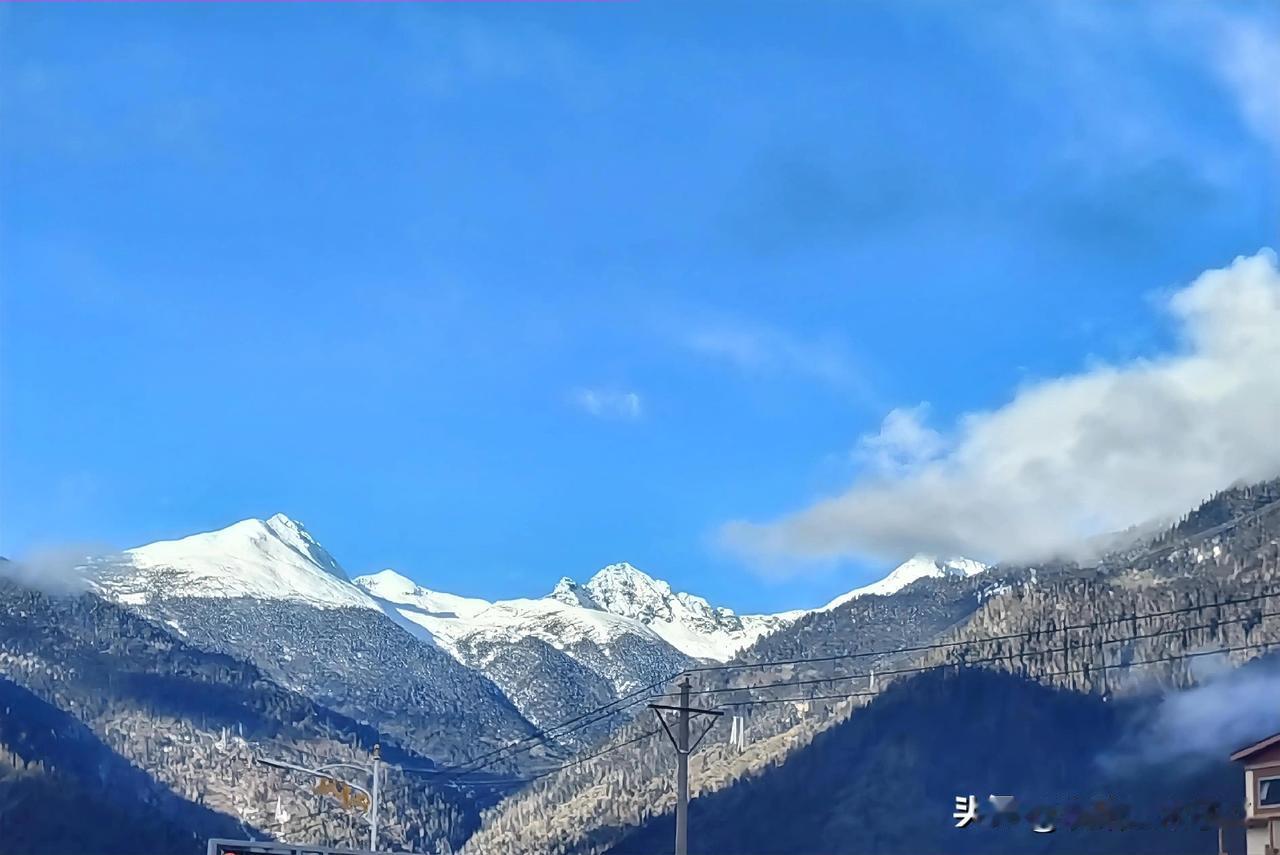 大多数中年家庭都在犯的错：厚爱晚辈，薄待爹娘！ 我们总把“爱要及时”挂在