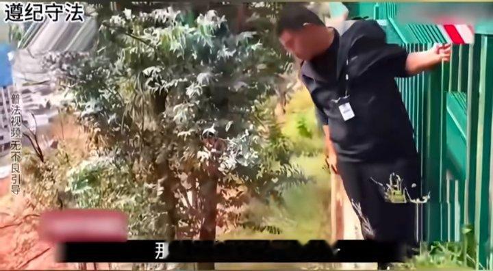居然还能看到预告片