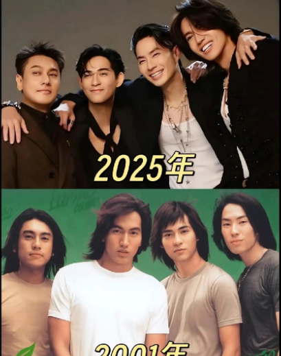 25周年巡回演唱会台北大巨蛋最终场，竟成了F4最后一次同框合体。这可是自2013