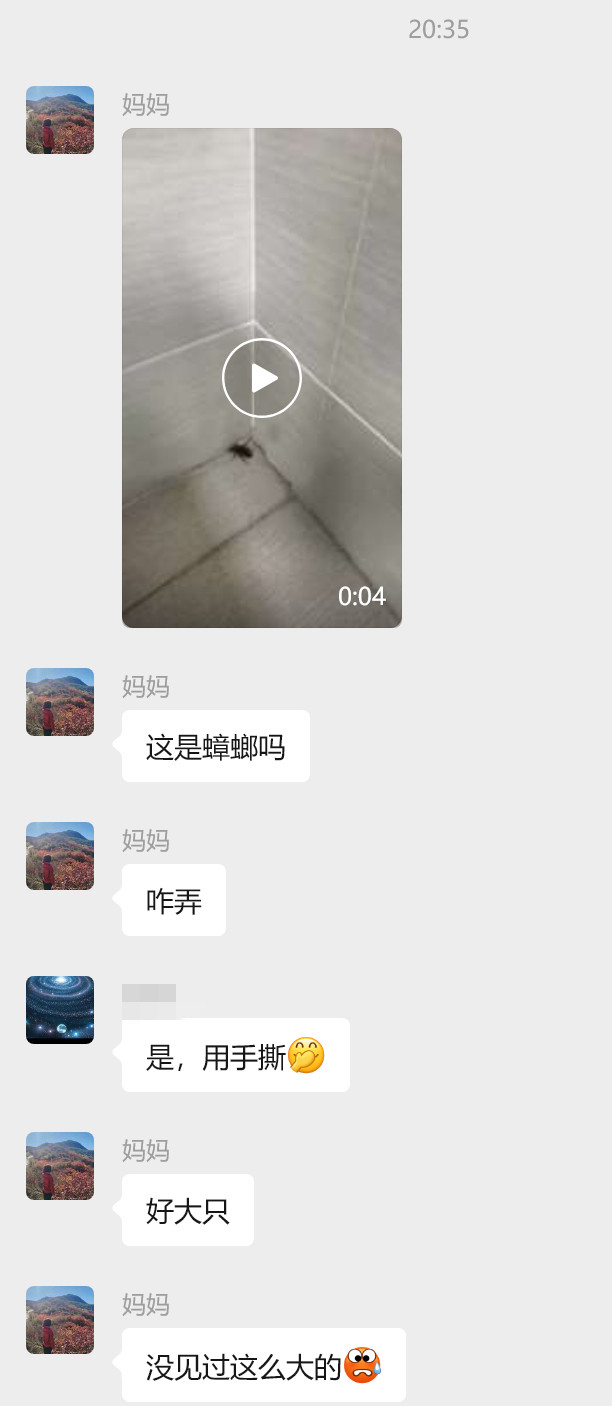 我妈从来没见识过南方的蟑螂，这下也是发现新大陆了​​​