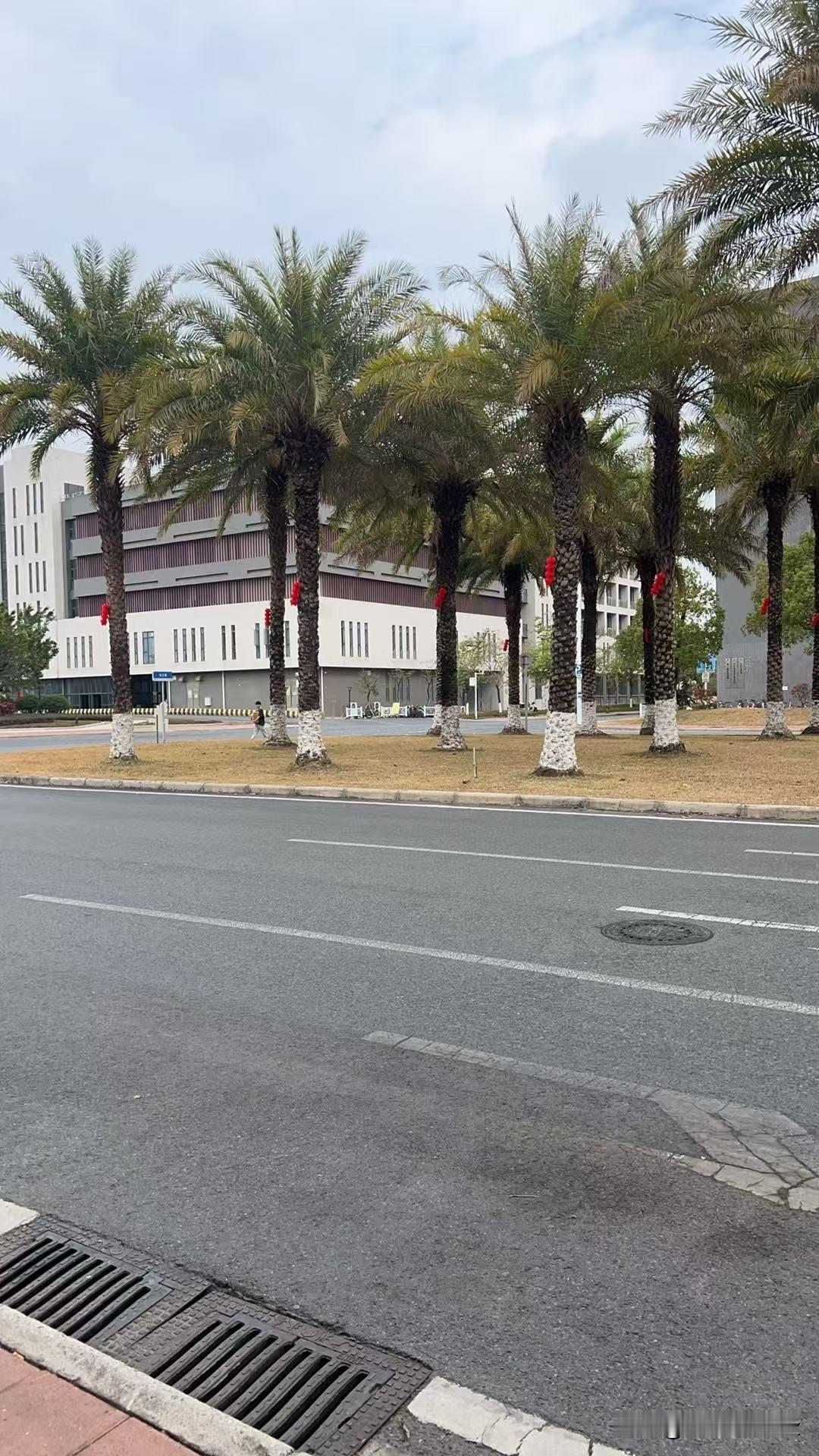 普及高中教育最大的障碍并非资金，而是观念与制度壁垒。国家对高中教育保障力度持续