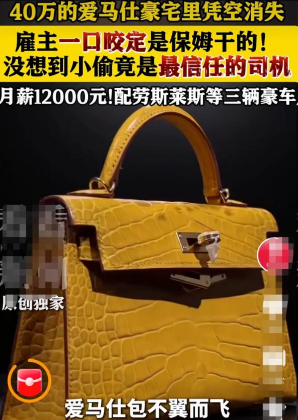 离谱反转！上海豪宅40万爱马仕失窃，女主笃定保姆是内鬼，警方破案打脸。 真凶
