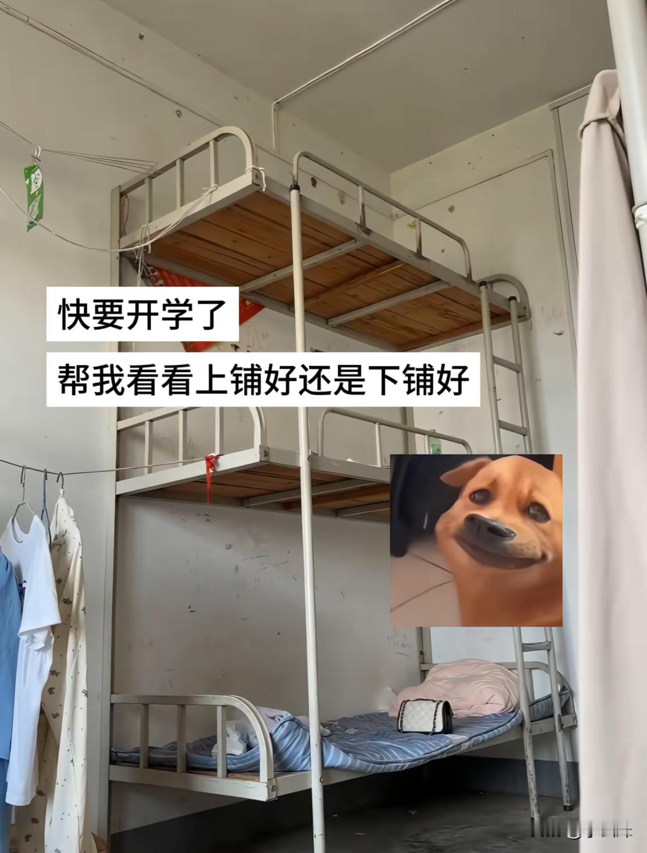 这种上下铺还是第一次见