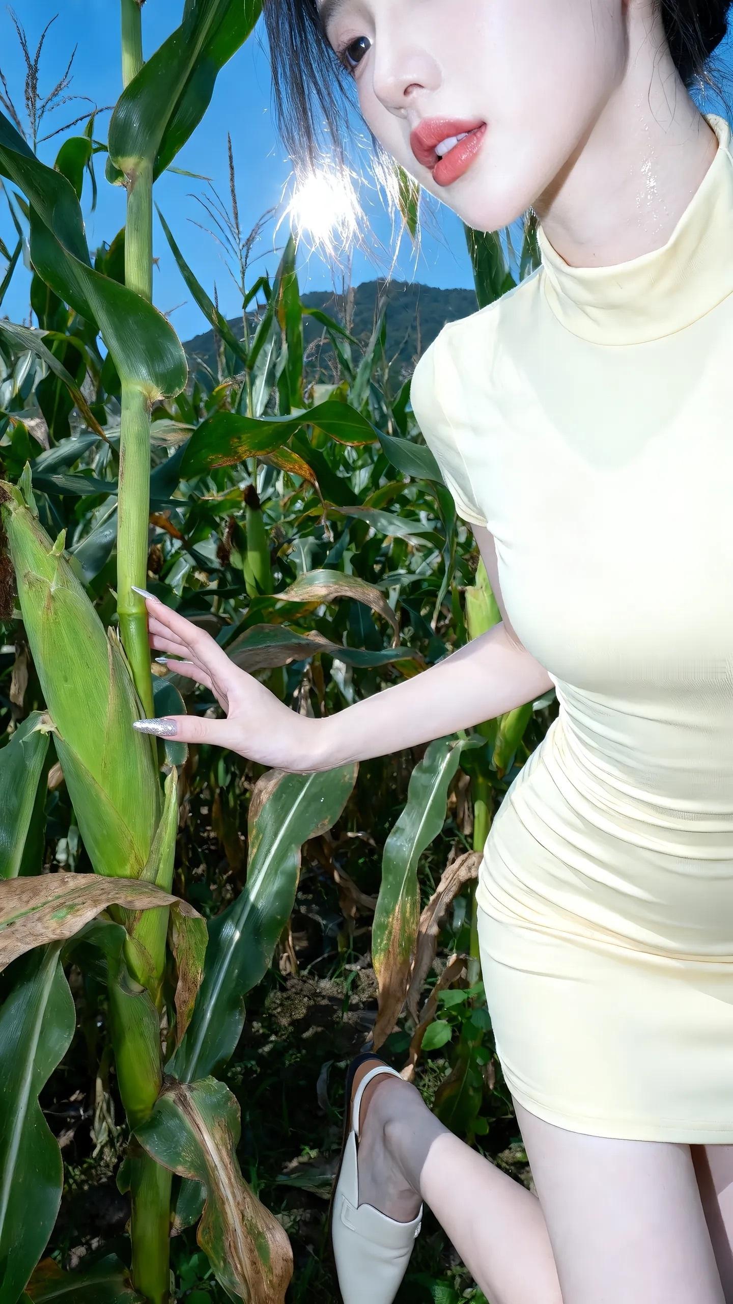 国庆节忙吗，来我家搬玉米🌽玉米地拍照拍照姿势国庆节怎么过​​​