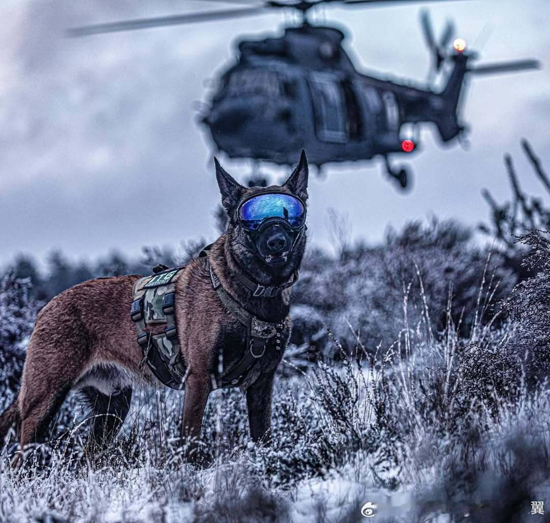 垂直杂志本周直升机摄影​​​