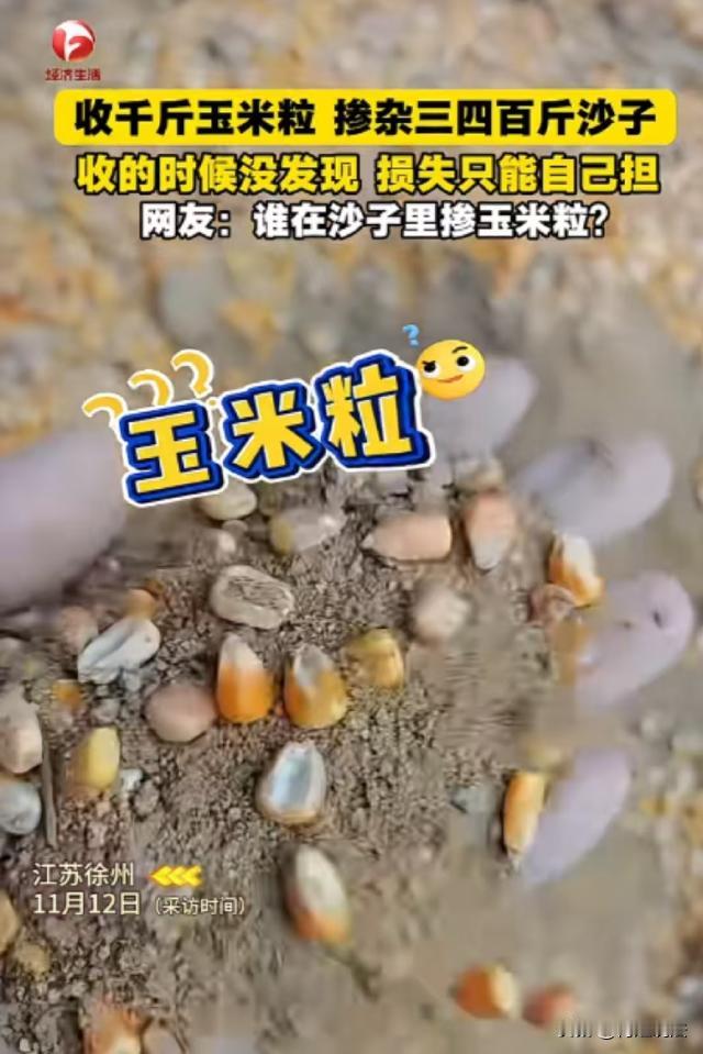 江苏徐州，张先生是一名粮食收购商，不久前他去乡下收了一批玉米，可回去打开袋子一看