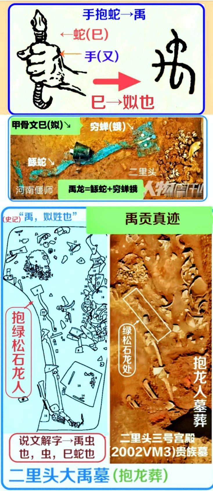 二里头是大禹墓，三号宫殿南院2002vm3号贵族墓抱绿松石龙的伶官就是大禹[作揖