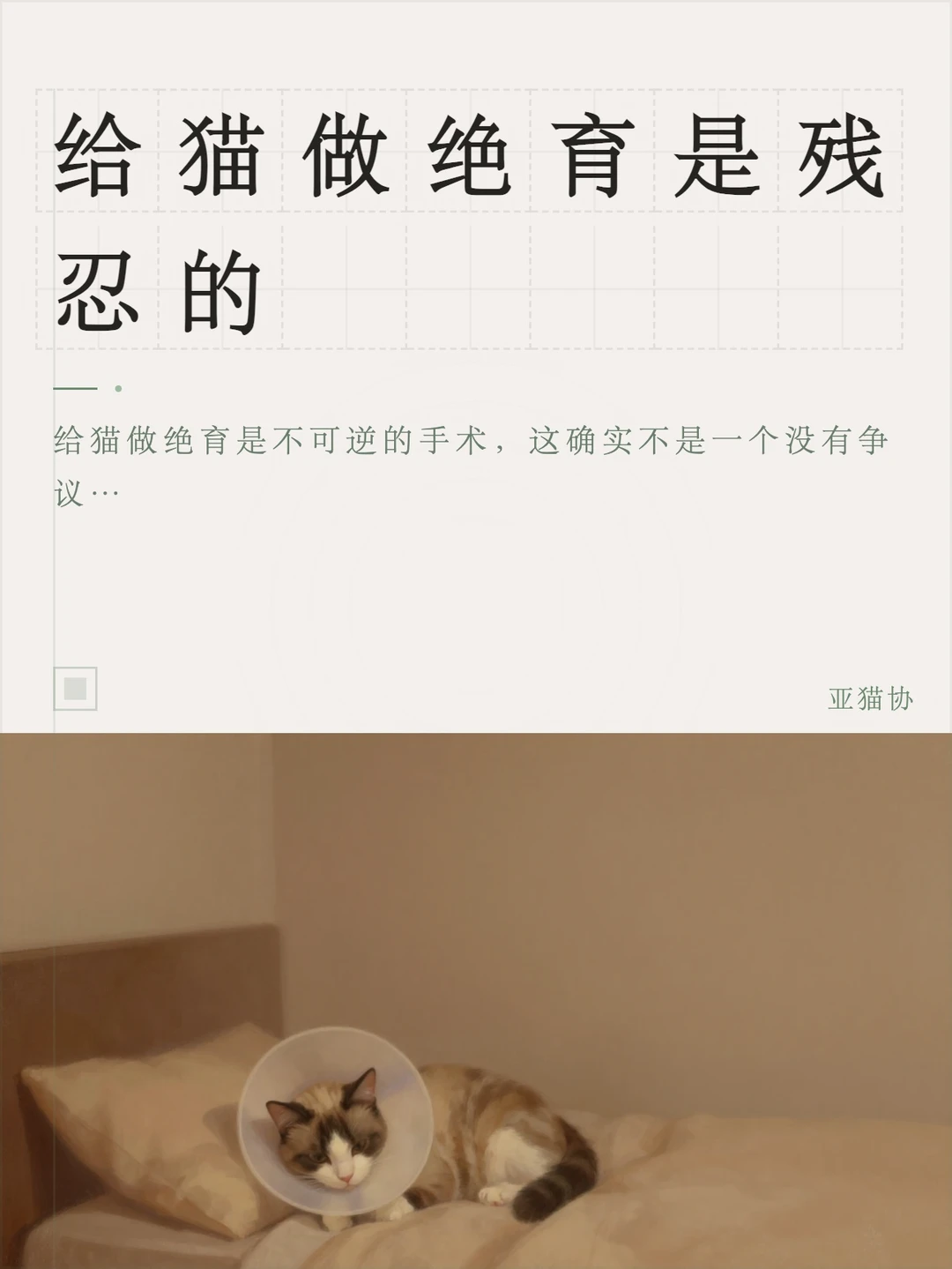 给猫做绝育是残忍的