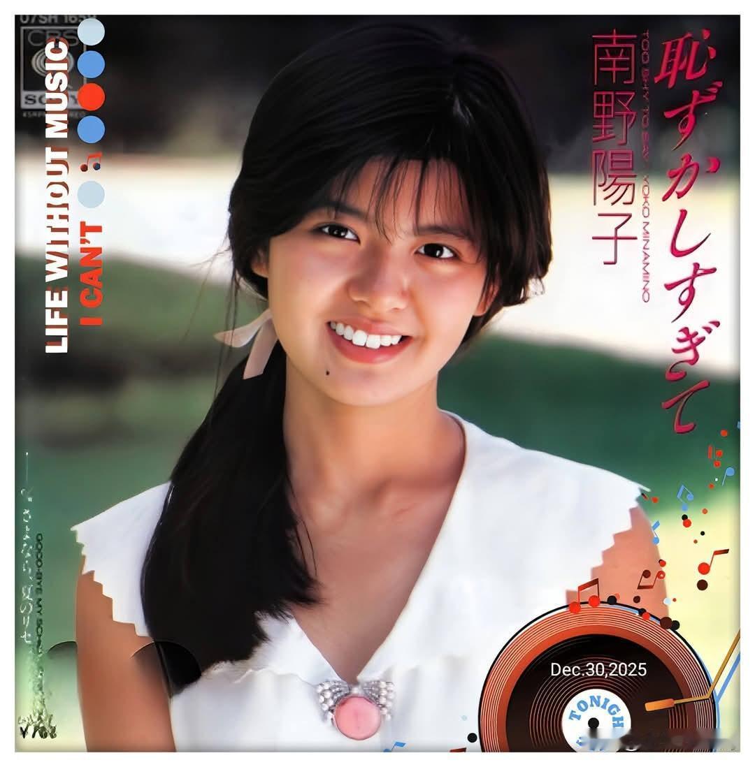 日本昭和偶像南野阳子