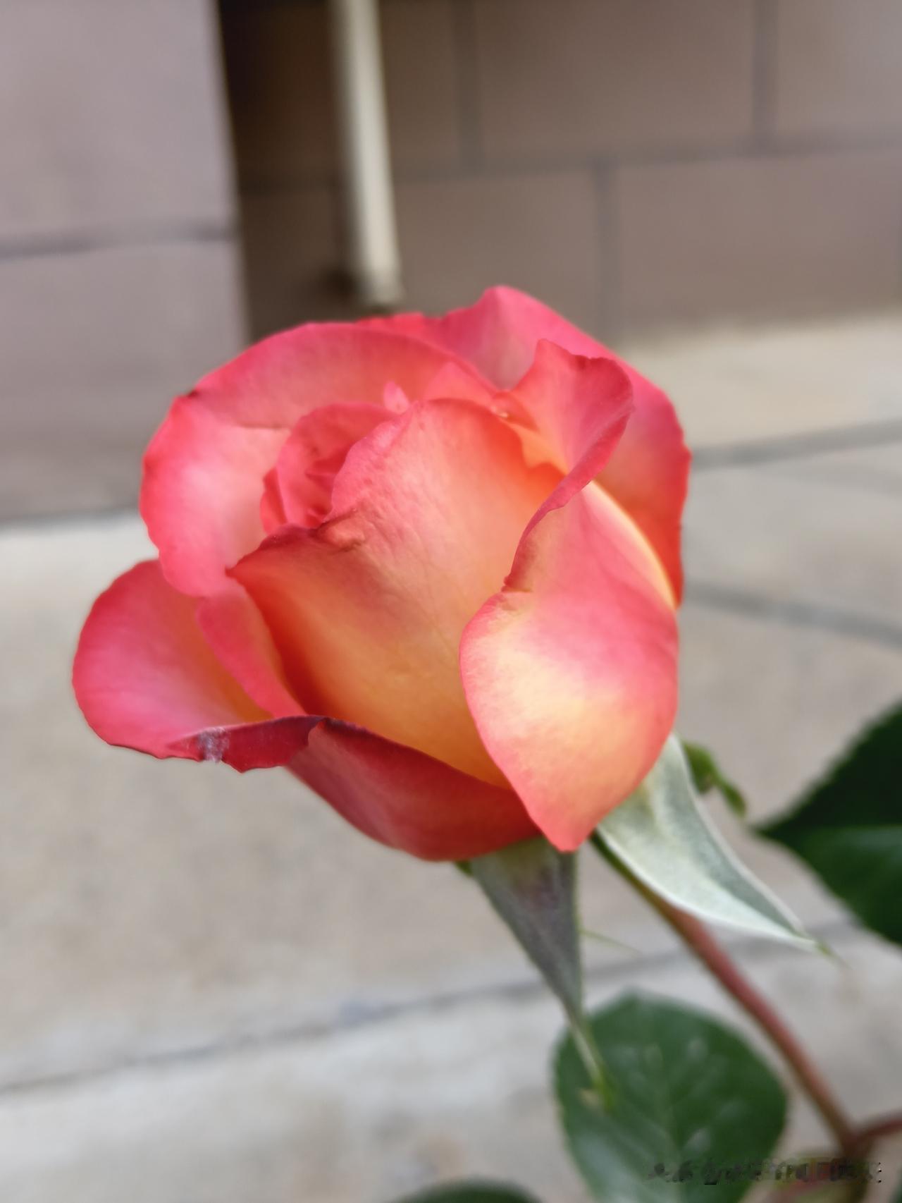 无法解释的玄学，不要不信1、一月出生的不要戴黄金。2、二月出生的不要戴白银