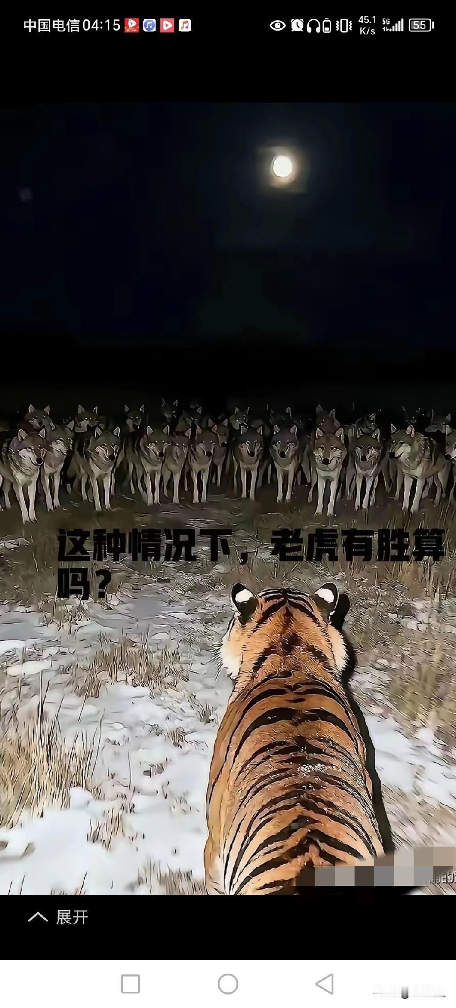 村里老人说：“八只狼就能打过黑熊”八狼会排八卦阵，把熊搞得晕头转向。但没说过，