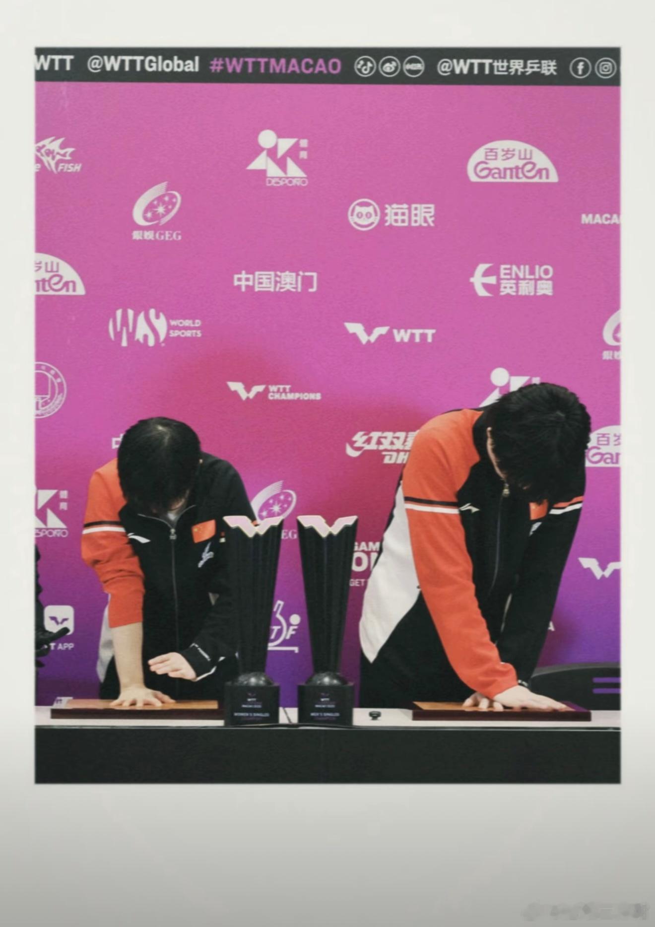 2017：初遇·少年首冠2018:崭露头角·洲际称王2019-2020