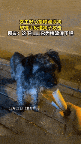 一女生回家路上碰见只流浪狗，瘦得皮包骨头，看着怪可怜的，她跑便利店买了根火腿肠，