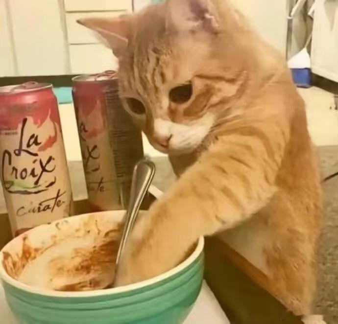涨价潮已经波及到猫狗大家有给家里毛孩子屯粮的习惯吗？我一般一次屯半年的粮，然后加