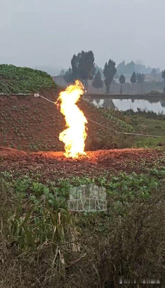 邪门！四川菜地冒火8天浇不灭，3米火舌窜出土缝，专家揭秘真相不简单！（个人观