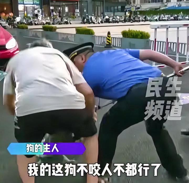 “我的狗不咬人”执法大队把狗捕住了，老大爷才知道错了。前一秒还背着手悠哉悠哉的